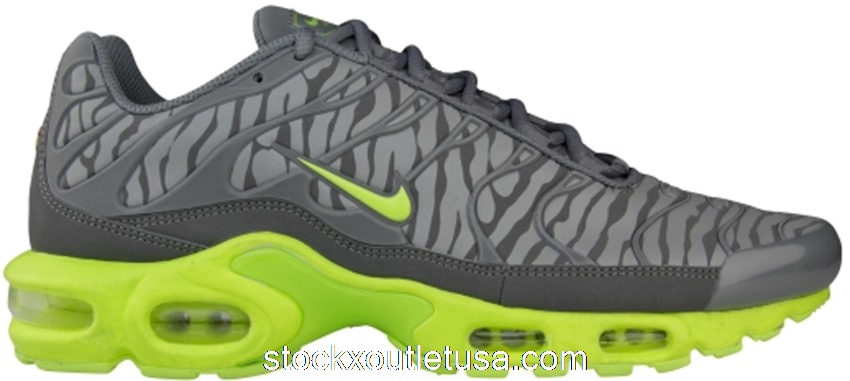 Outlet Nike Air Max Plus Reflective Zebra Grey