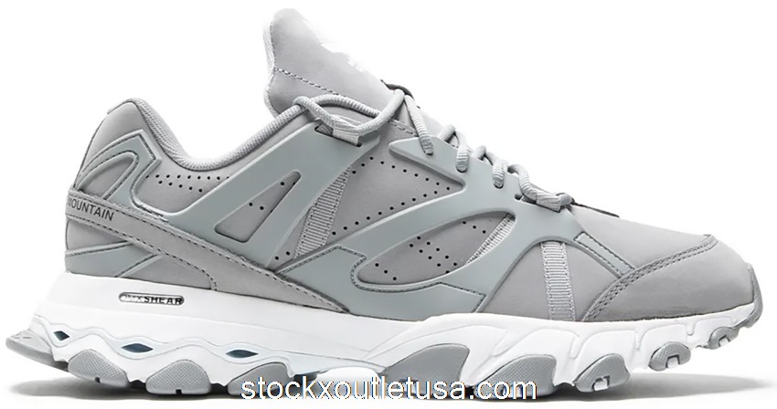 Outlet Reebok DMX Trail Shadow Mountain Research Grey FZ4542