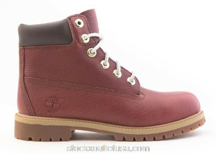 Outlet Timberland 6\" Premium Boot WPBT Brown (GS) TB0A173D214