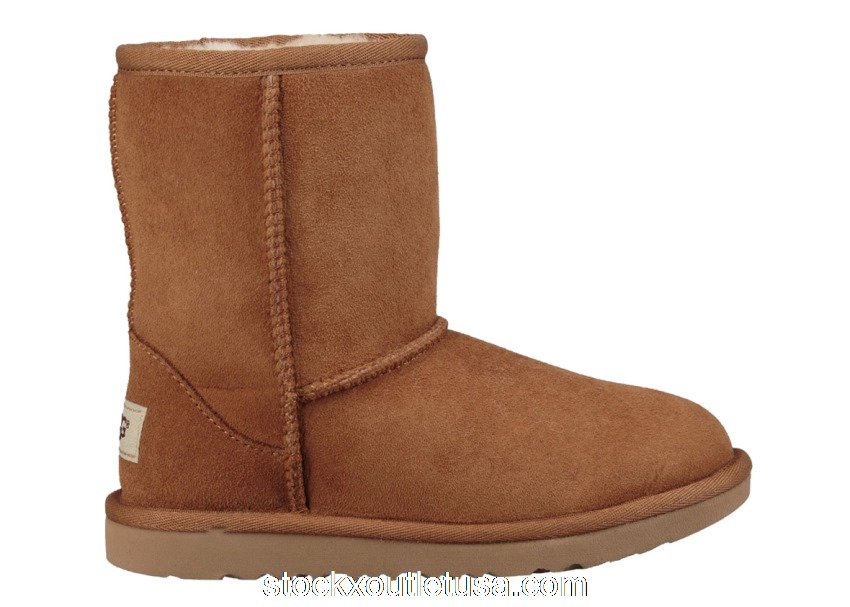 Outlet UGG Classic II Boot Chestnut (Kids) 1017703K-CHE