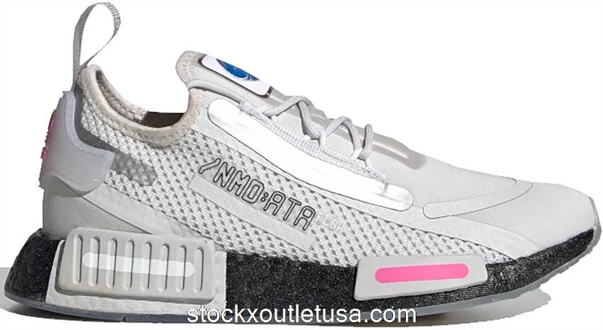 Outlet adidas NMD R1 Spectoo NASA Dash Grey (GS) FY9044