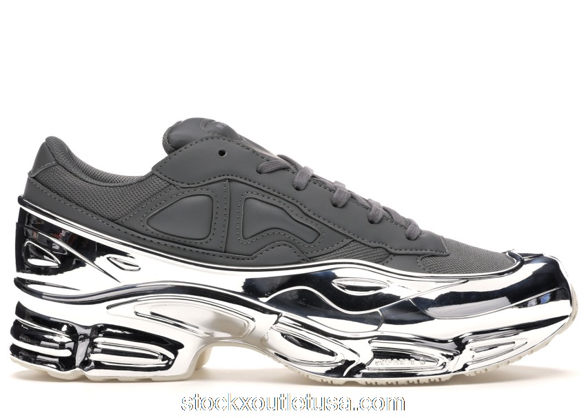 Outlet adidas Ozweego Raf Simons Ash Silver Metallic EE7946