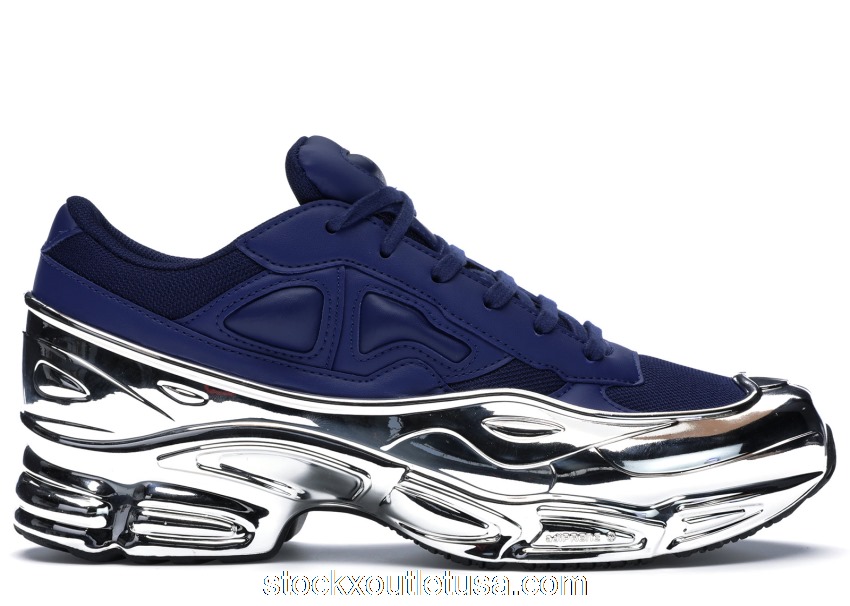 Outlet adidas Ozweego Raf Simons Unity Ink Silver Metallic EE7949