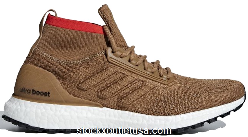 Outlet adidas Ultra Boost All Terrain Raw Desert CM8258